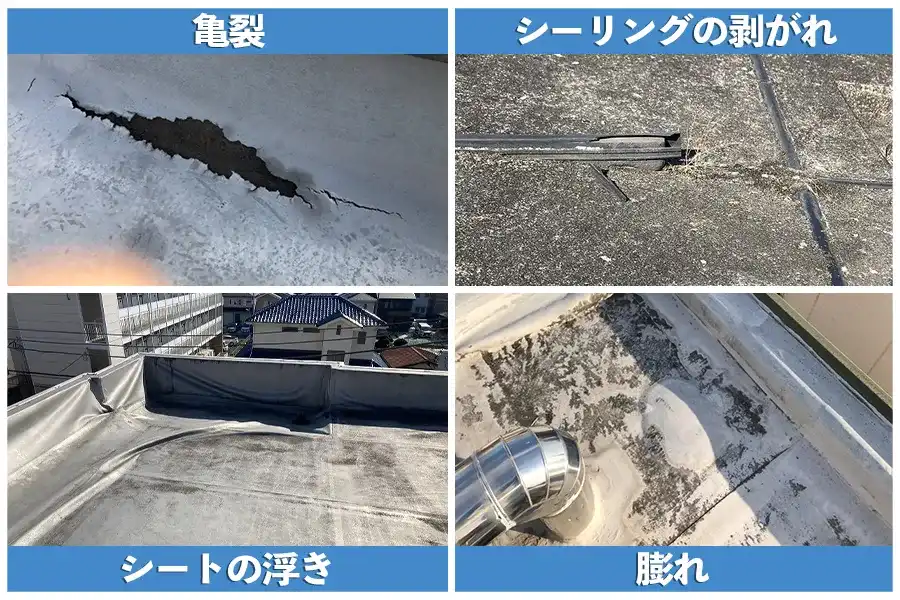 防水層の劣化のサイン