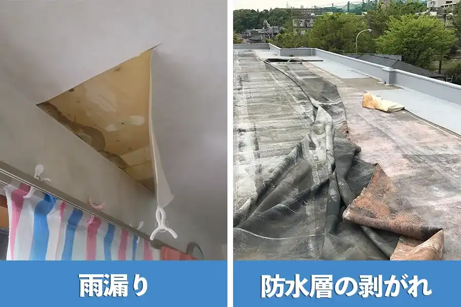 危険度レベル ★★★★★5　雨漏り・防水層のは剥がれ