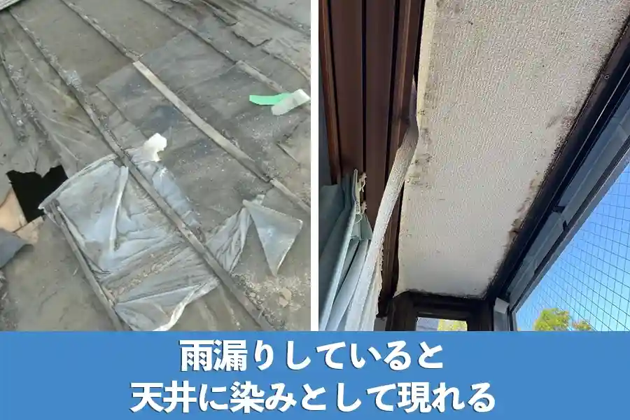 屋根から雨漏りしていると天井に染みが現れる