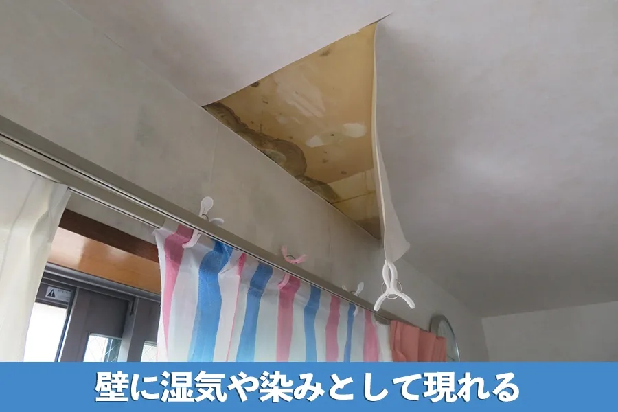 壁からの雨漏りは湿気やシミが現れる