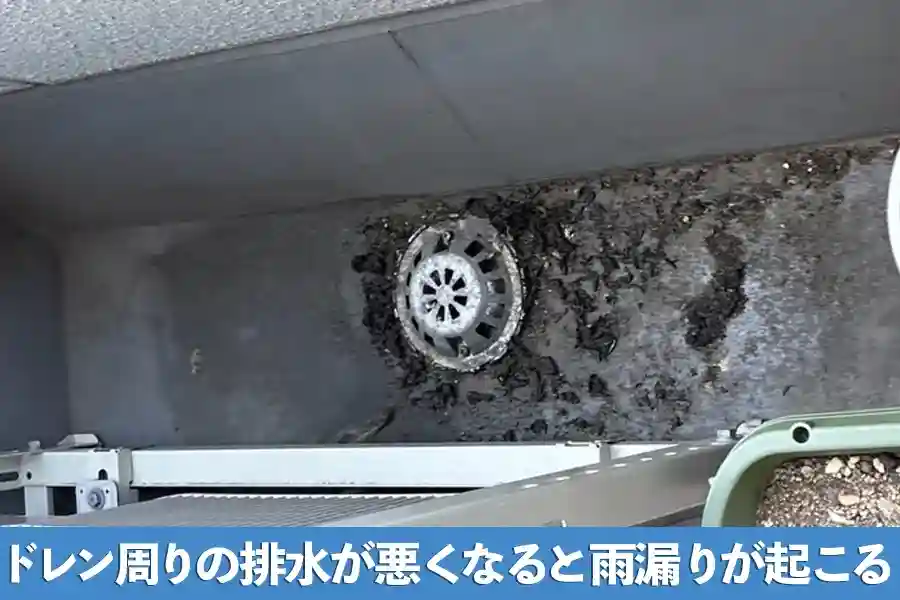 ドレン周りの排水が悪くなると雨漏りが起こる