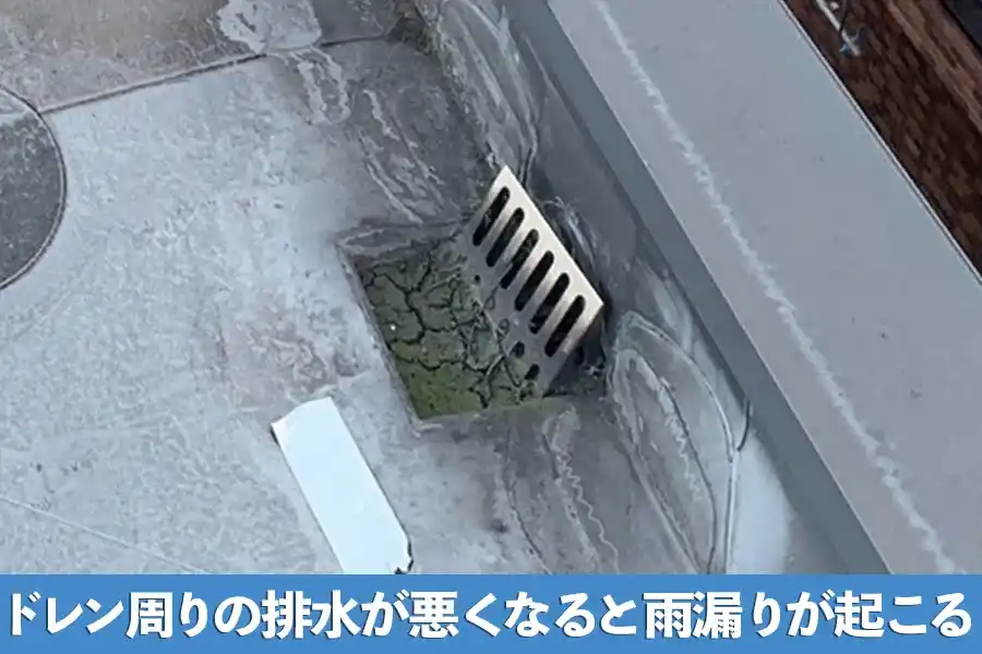 ドレン周りの排水が悪くなると雨漏りが起こる