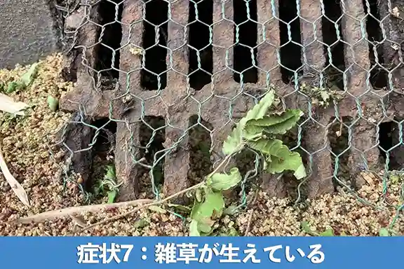 症状7：雑草が生えている