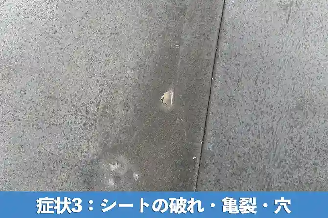 症状3：シートの破れ・亀裂・穴
