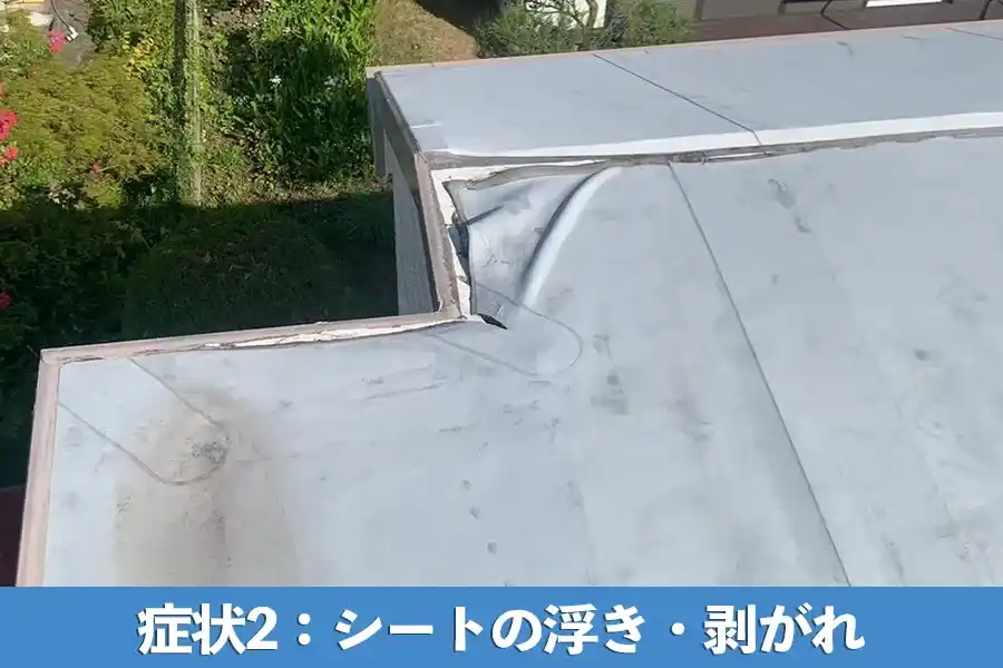 症状2：シートの浮き・剥がれ