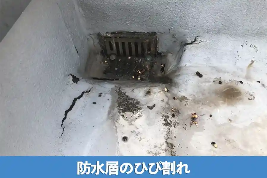 防水層のひび割れ