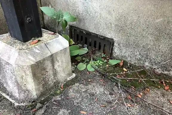 土や植物が詰まったドレン