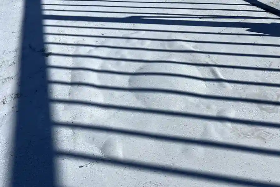 浮きが広範囲・多数発生