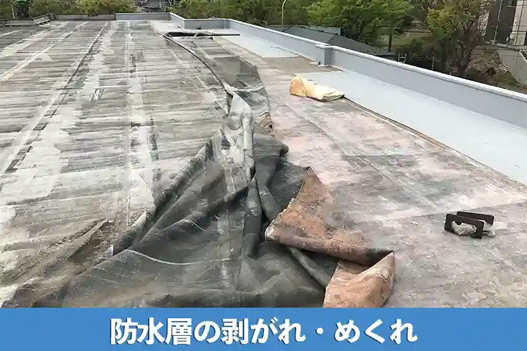 防水層の剥がれ・めくれ