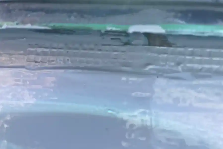 ウレタンの塗布が足りず、下のメッシュが透けてしまっている