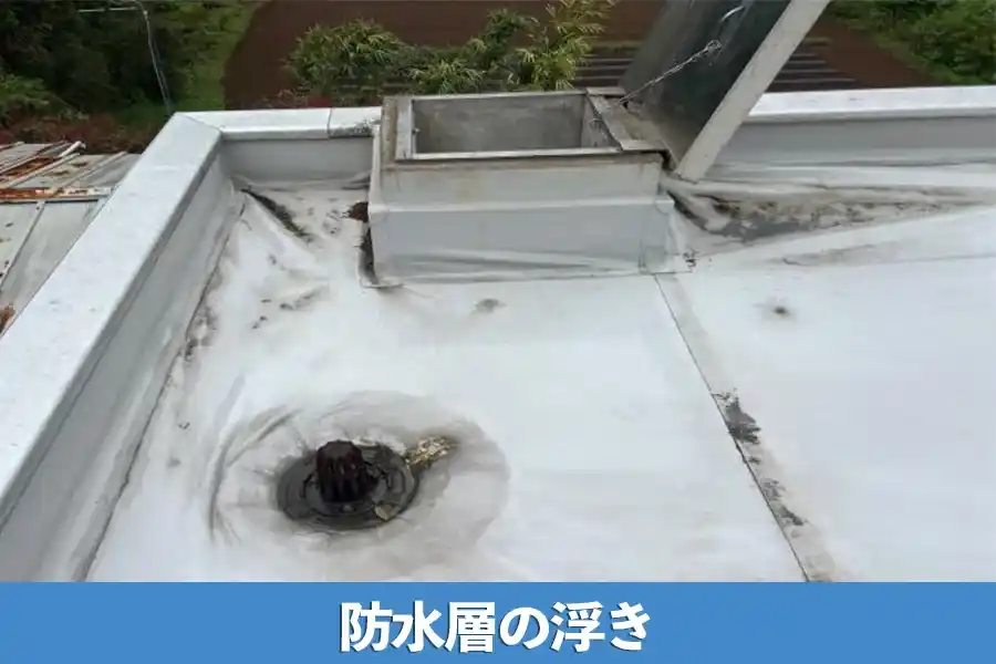 防水層の浮き